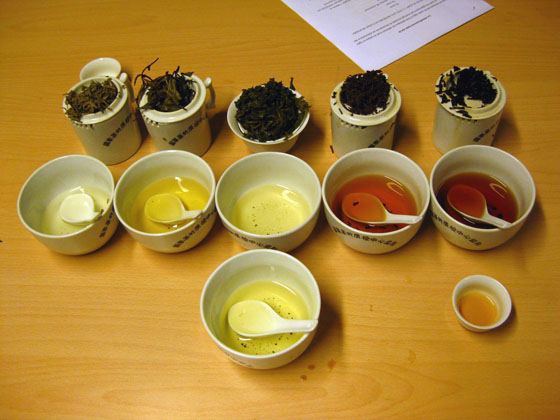 ISO 3103 tea tasting - oolong tasting with gaiwan 审评杯