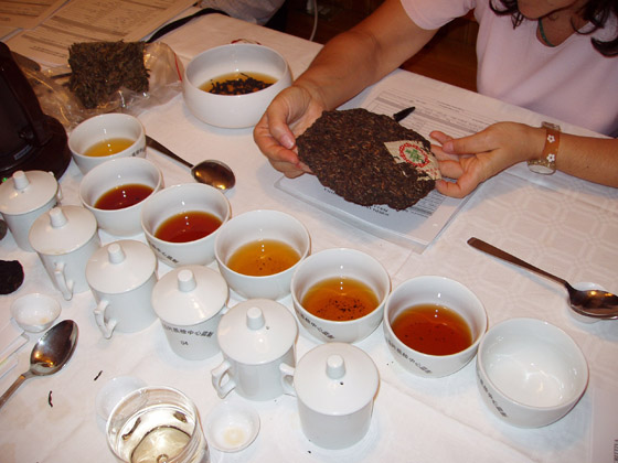 Seminario sui tè Pu'er - Pu.erh pressato invecchiato 普洱茶
