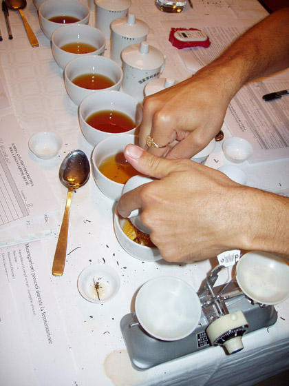 Seminario sui tè Pu'er - Preparazione dell'infuso<em></em> 普洱