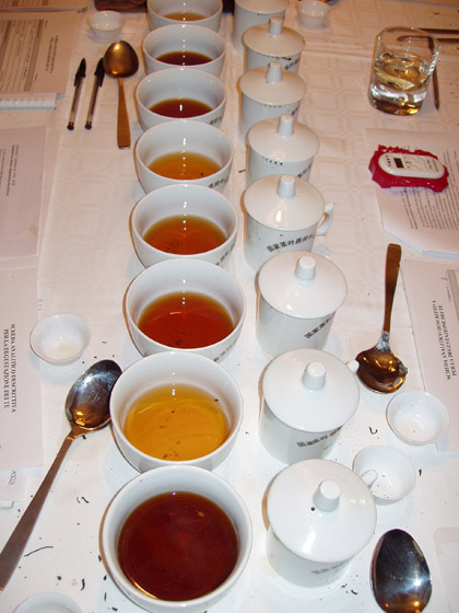 Seminario sui tè Pu'er - Colori dei tè Pu'er 普洱茶汤色