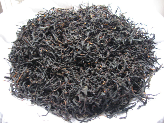 Italian Tea - Black Tea 意大利紅茶