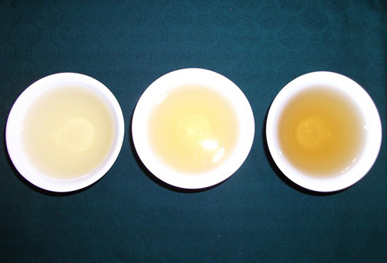 Tè italiano - Italian Tea - Green, oolong, black: liquour 意大利綠茶、烏龍茶、紅茶茶湯